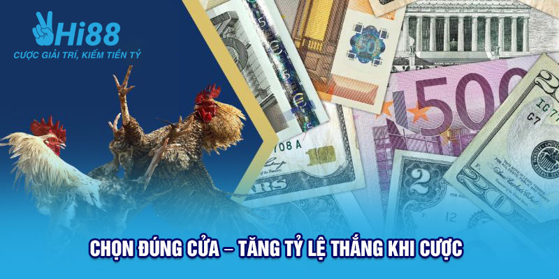 Các cửa đặt cược khi tham gia Đá gà Hi88