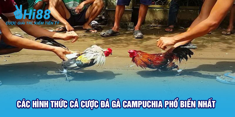 Các hình thức cược đá gà phổ biến nhất tại Hi88